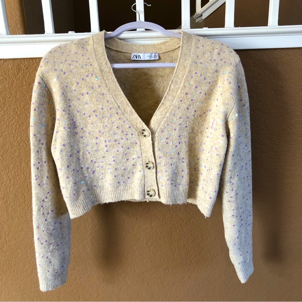 Sequence cropped Zara sweater
